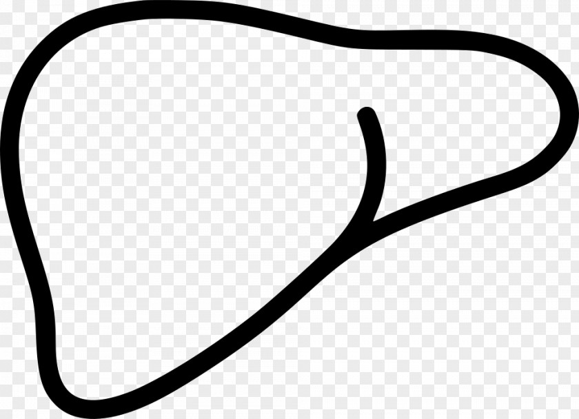 Line White Clip Art PNG