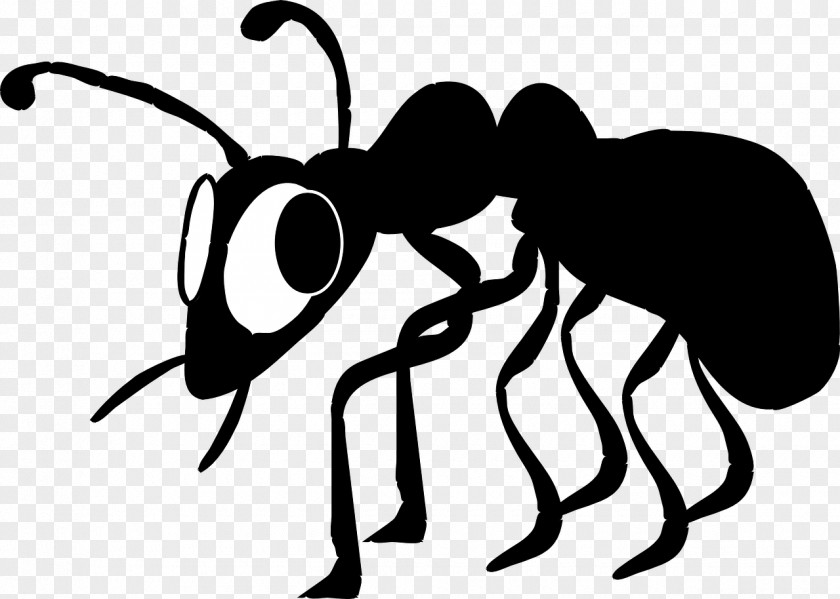 No Termite Cliparts Ant Free Content Clip Art PNG