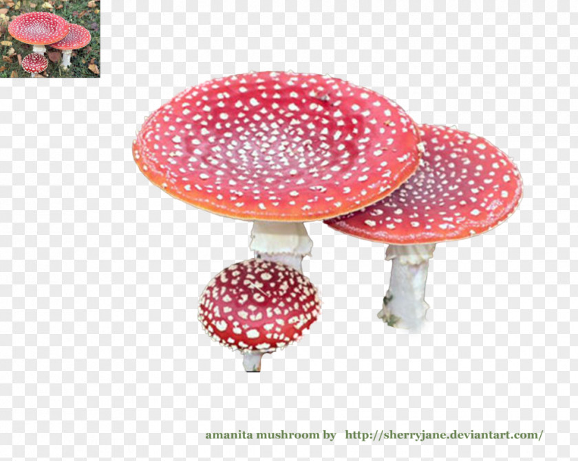 Ten Li Peach Blossom DeviantArt Mushroom Amanita Artist PNG