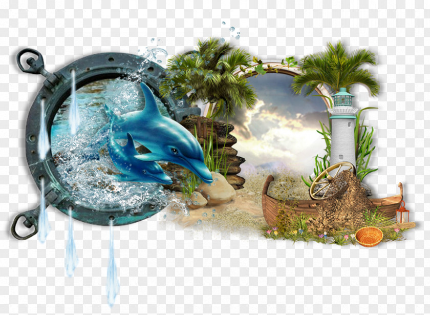 Water Picnic Smile PNG