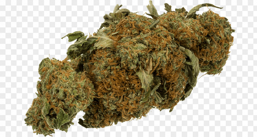 Cannabis Medical Haze Kush Sativa PNG