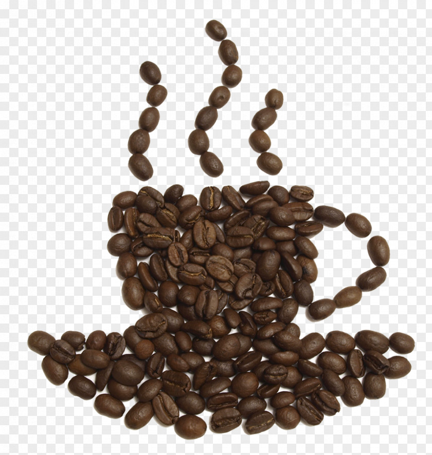 Coffee Bean Tea Latte Cafe PNG