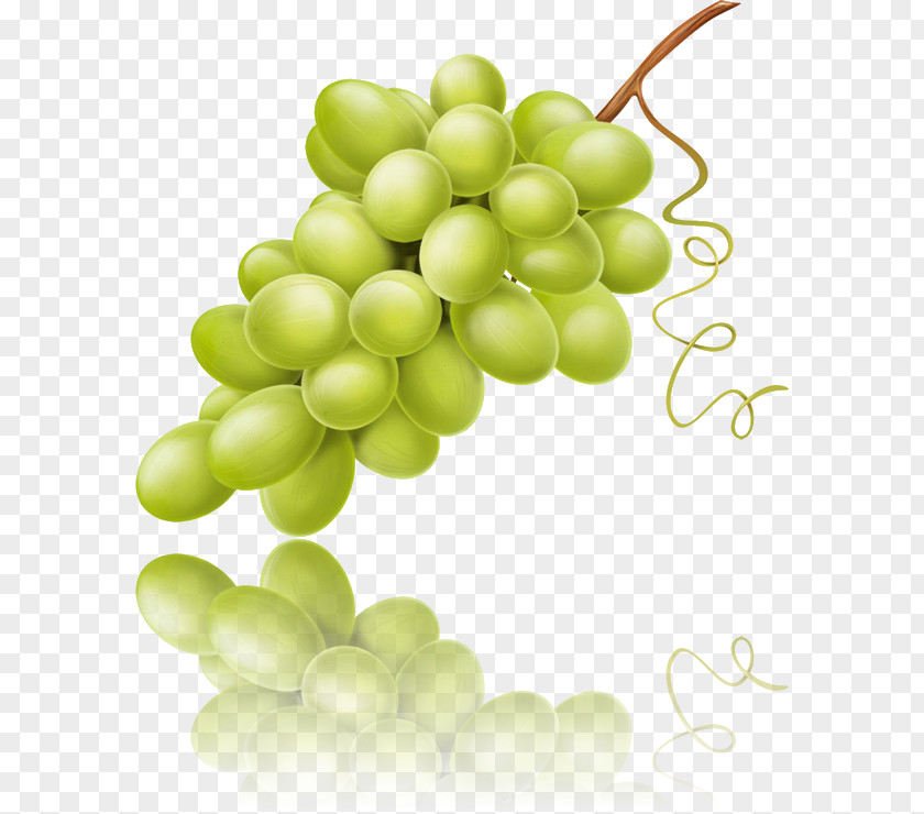 Grape Sultana Seedless Fruit Seed Extract Verjuice PNG