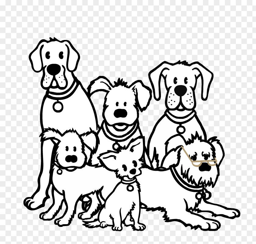 Group Picture Dog Food Barking Heads Puppy Pet PNG
