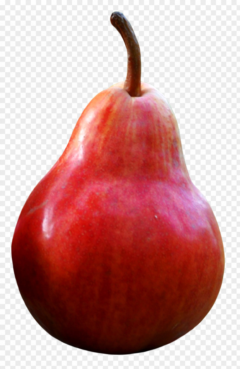 Red Pear Fruit PNG