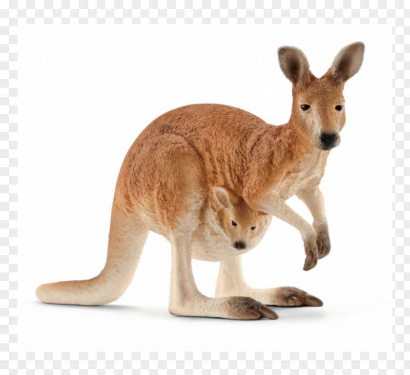 Toy Schleich Gr Action & Figures Kangaroo PNG
