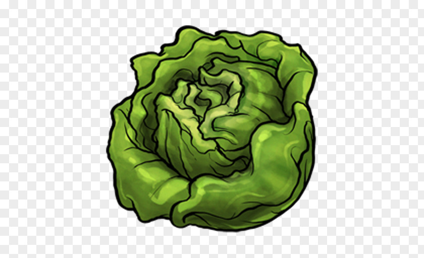 Vegetable Hamburger Lettuce Clip Art PNG