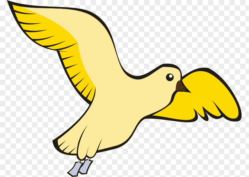 Bird Pigeons And Doves Homing Pigeon English Carrier Domestic Canary PNG