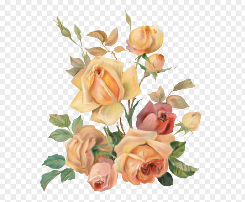 Brown Flowers Garden Roses Adobe Photoshop Clip Art Cabbage Rose PNG