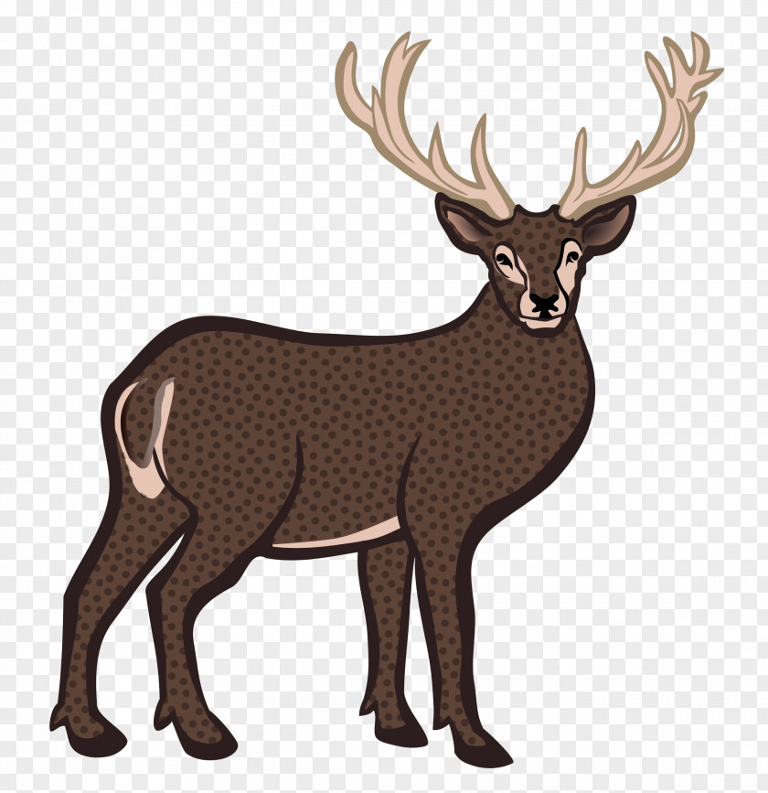 Deer White-tailed Moose Red Reindeer PNG
