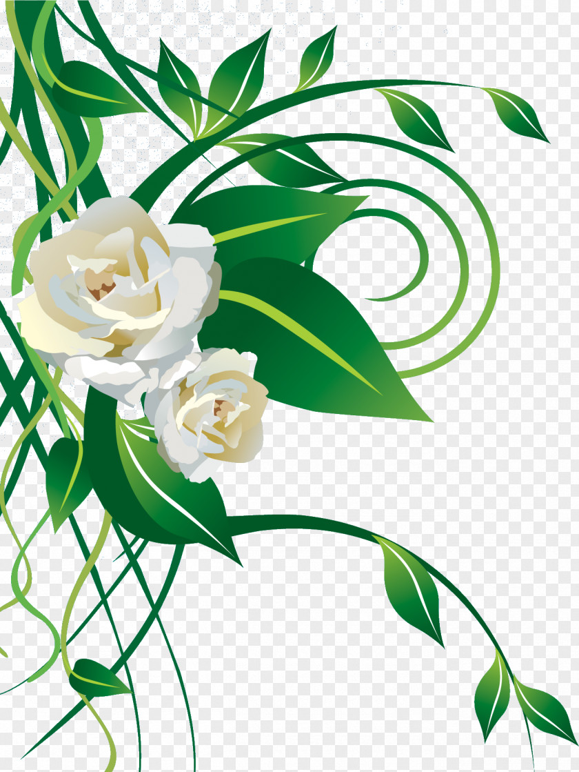 Father's Day Christmas White Rose Gift PNG