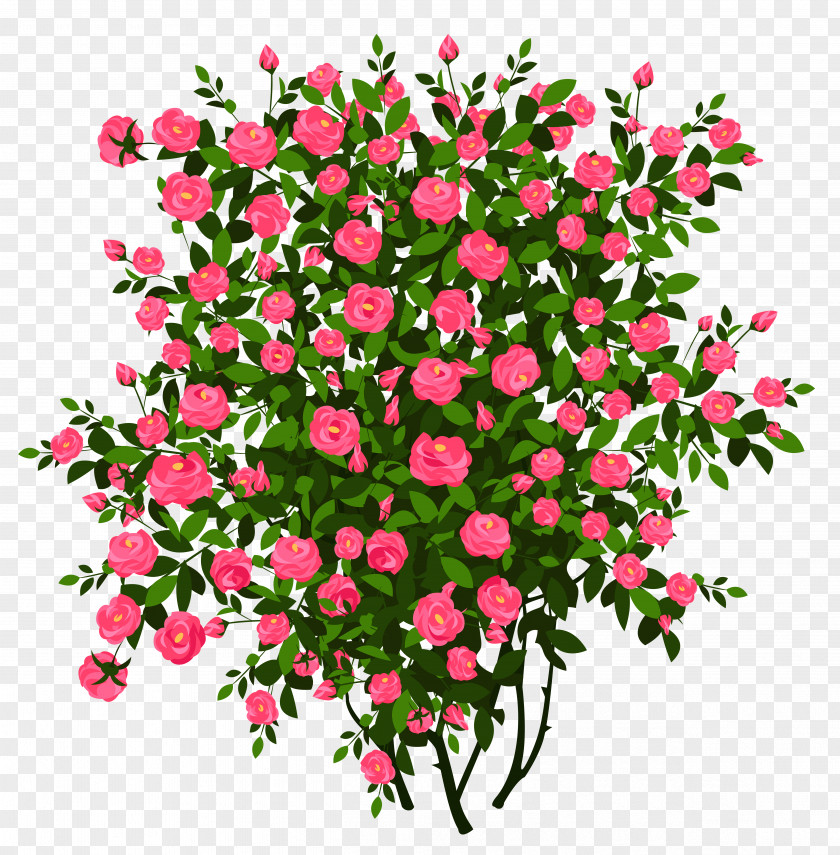 Green Bush Cliparts Rose Shrub Drawing Clip Art PNG