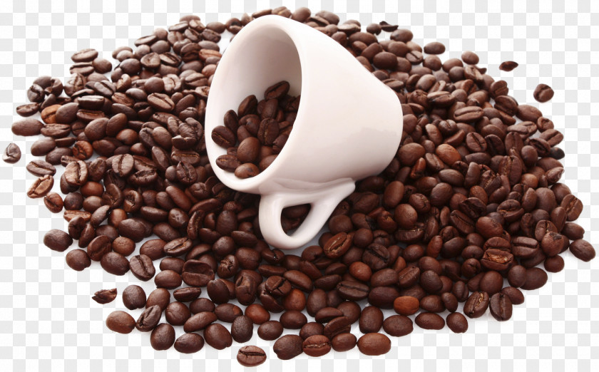 Quality Coffee Beans Green Tea Cafe Hot Chocolate PNG