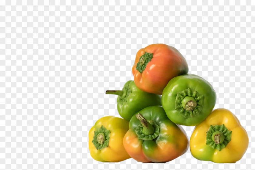 Salad PNG