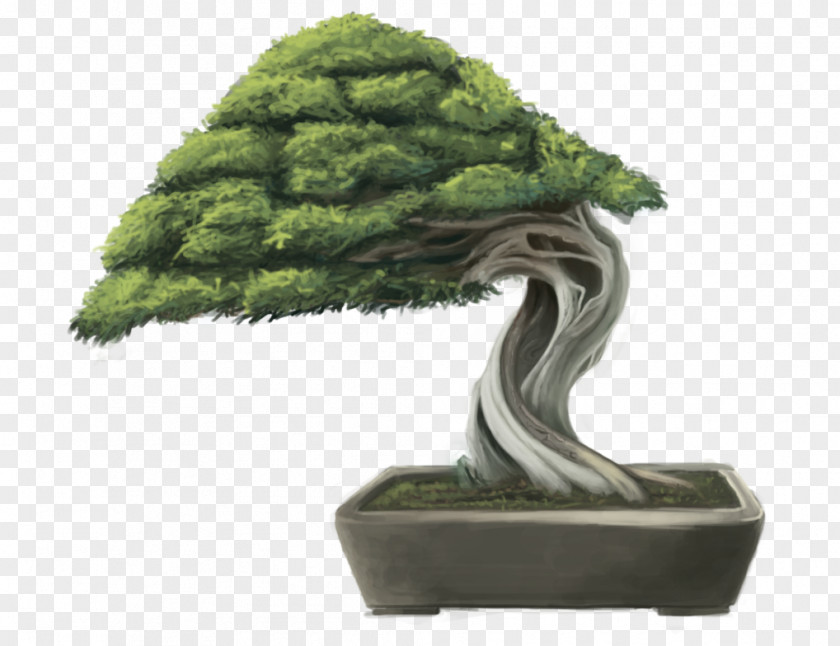 Tree Sageretia Theezans Bonsai Flowerpot Yixing PNG