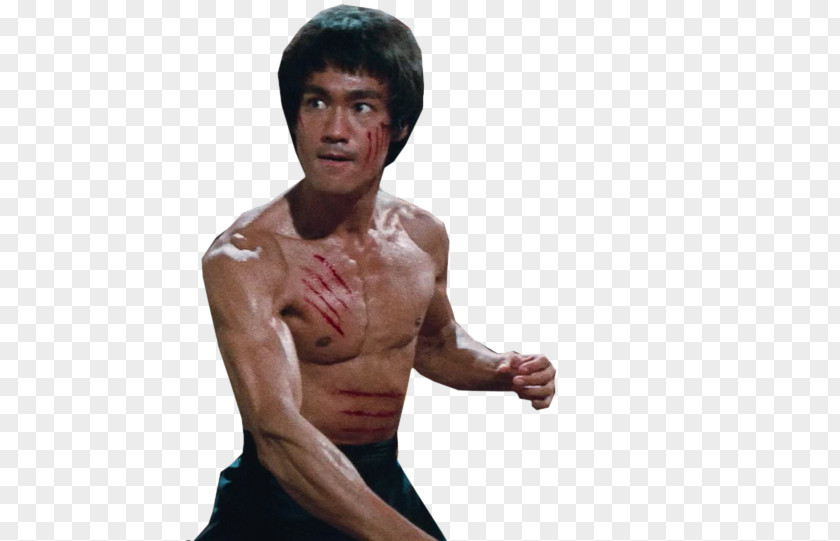 Bruce Lee Lee: Artist Of Life PNG