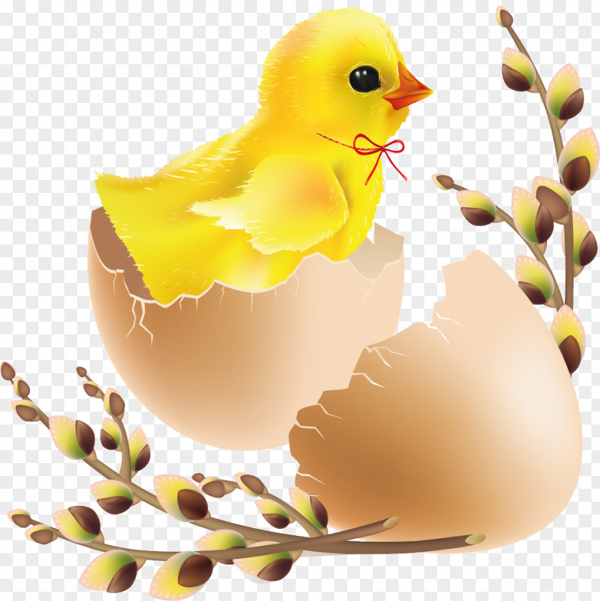 Chick Hatching Easter Clip Art PNG