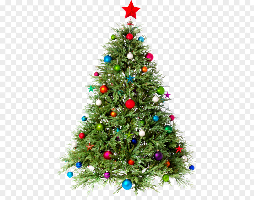 Christmas Tree Clip Art Day Image PNG