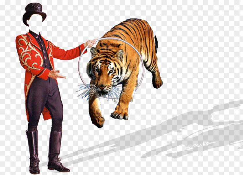 Circus The Tiger Photography .de Pattern PNG