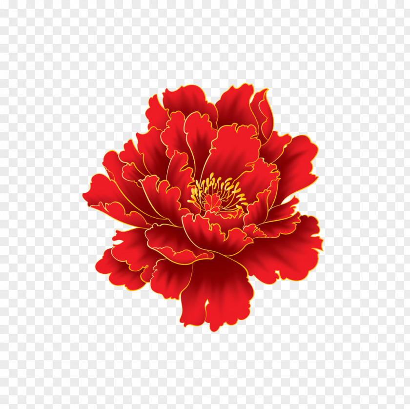 Peony Moutan Download Fundal PNG