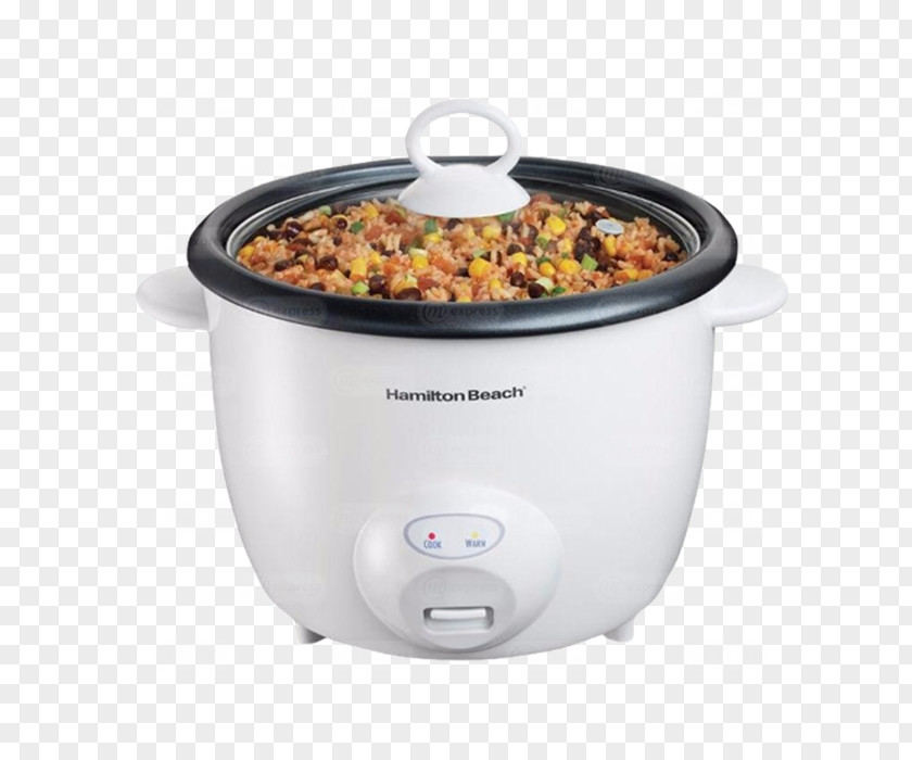 Rice Cookers Food Steamers Hamilton Beach Brands PNG