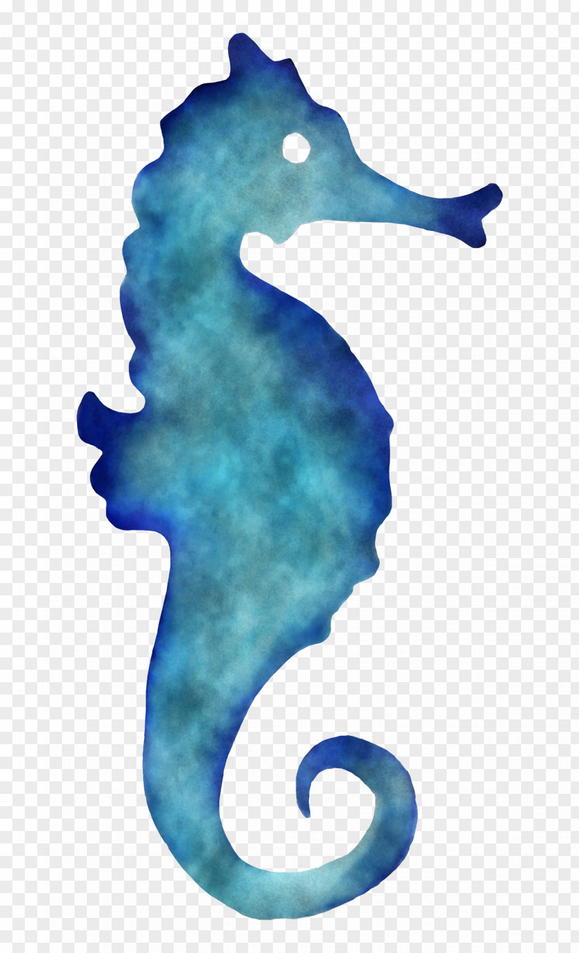 Seahorse Northern Turquoise Aqua Fish PNG