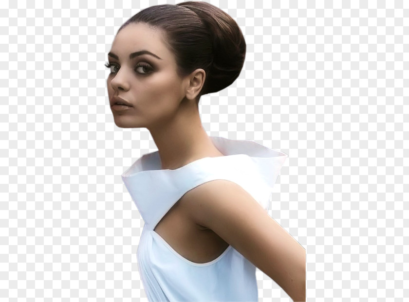 Bun Black Hair Updo Hairstyle PNG