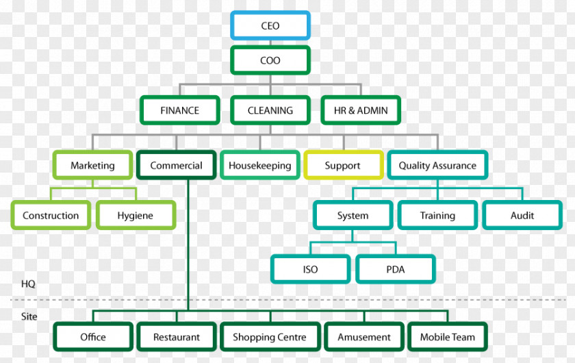 Business Organizational Structure Cleaning PNG