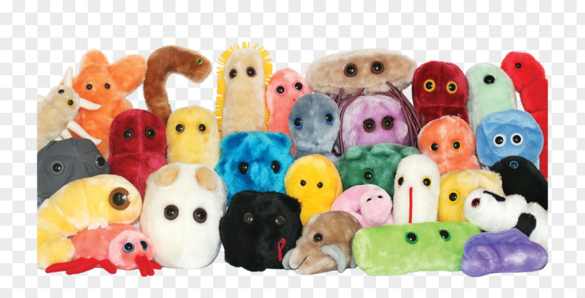 Child Plush Stuffed Animals & Cuddly Toys GIANTmicrobes Microorganism Bacteria PNG