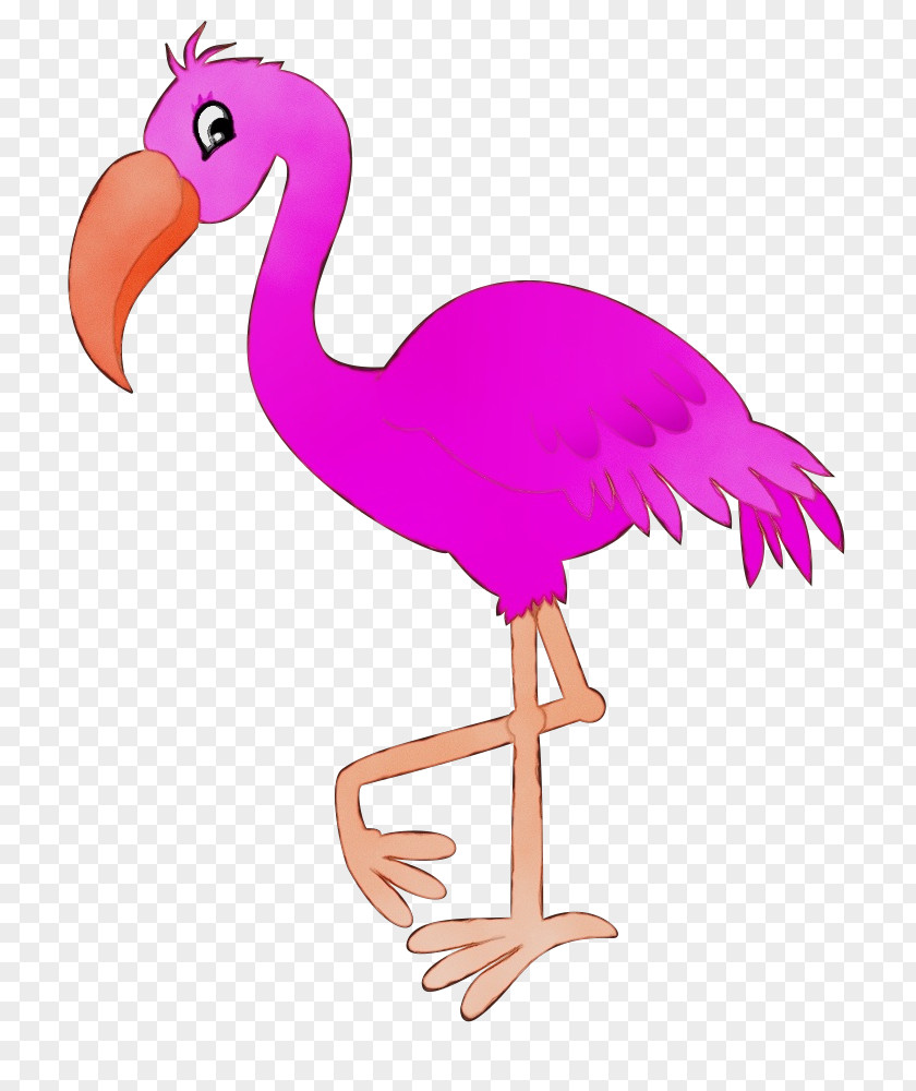 Ratite Ostrich Flamingo PNG