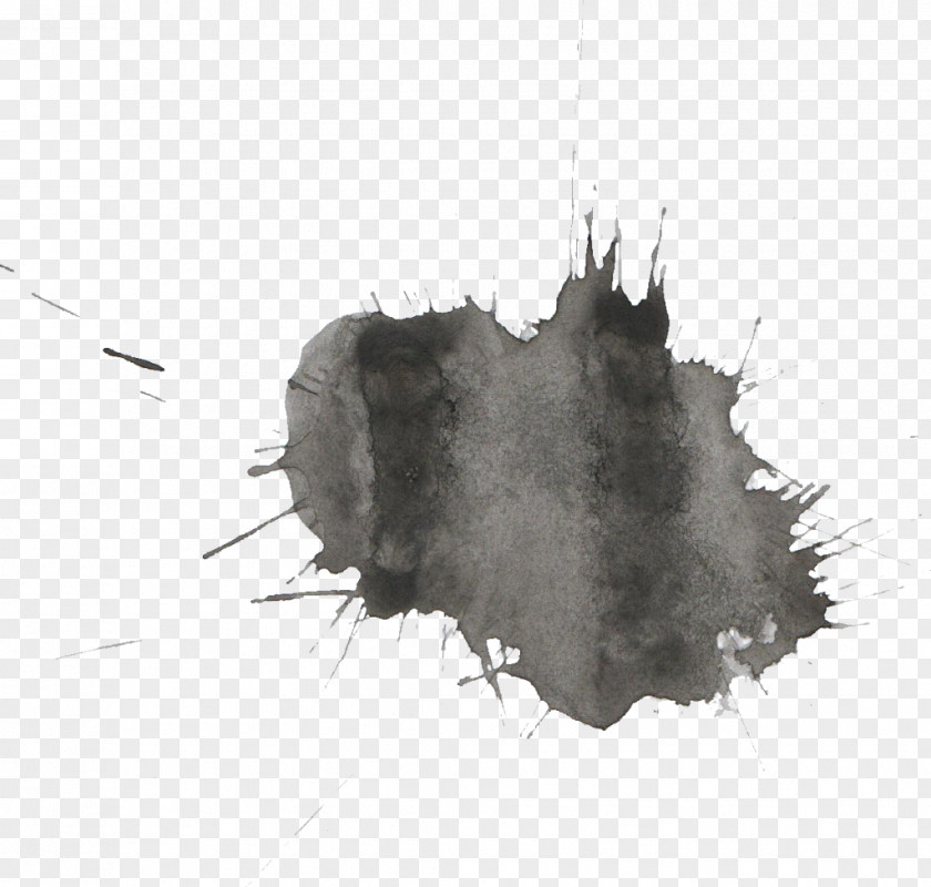 Watercolor Painting Paintbrush Black And White Transparent PNG