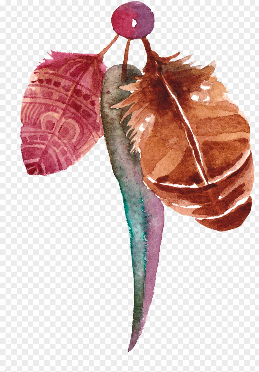 Bohemian National Wind Feather PNG