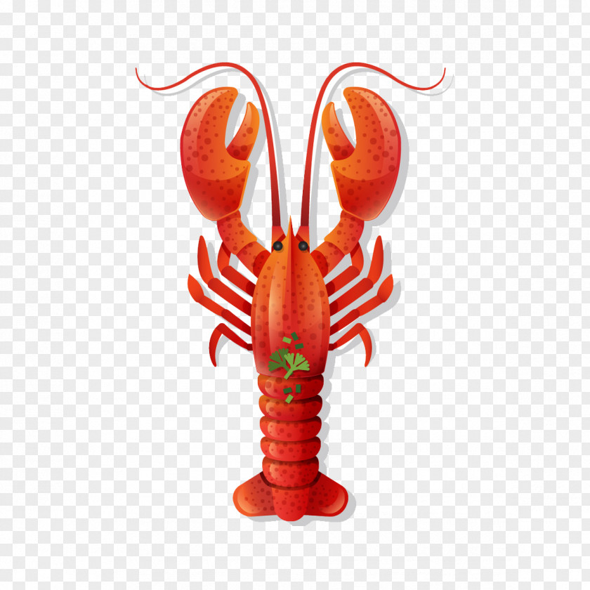 Cartoon Red Lobster Seafood Palinurus Elephas PNG