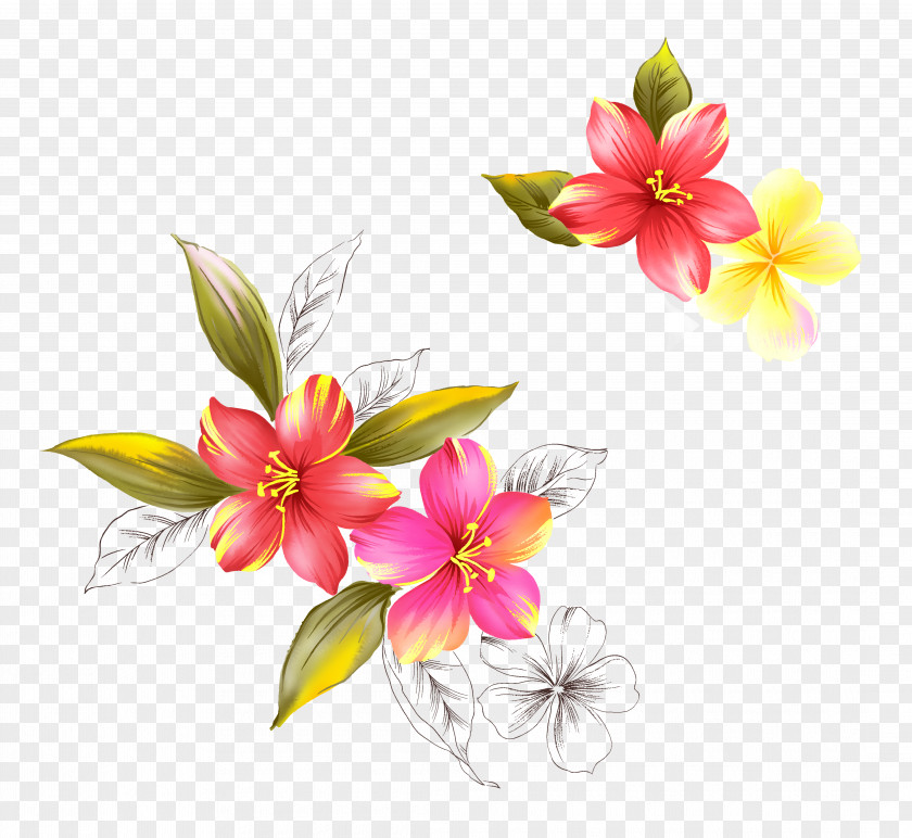 Handpainted Flowers Flower PNG