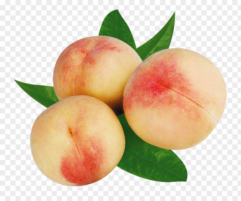 Peaches Peach Fruit Food Auglis Nutrition PNG