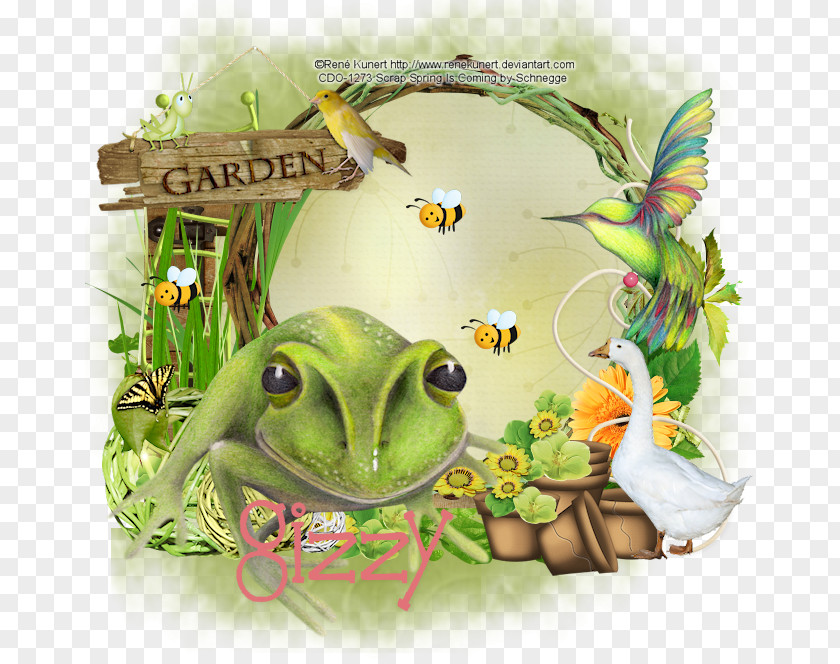 Spring Is Coming True Frog Amphibian Tree Toad PNG