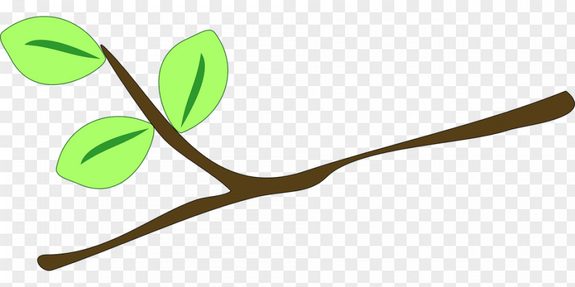 Twig Branch Drawing Clip Art PNG