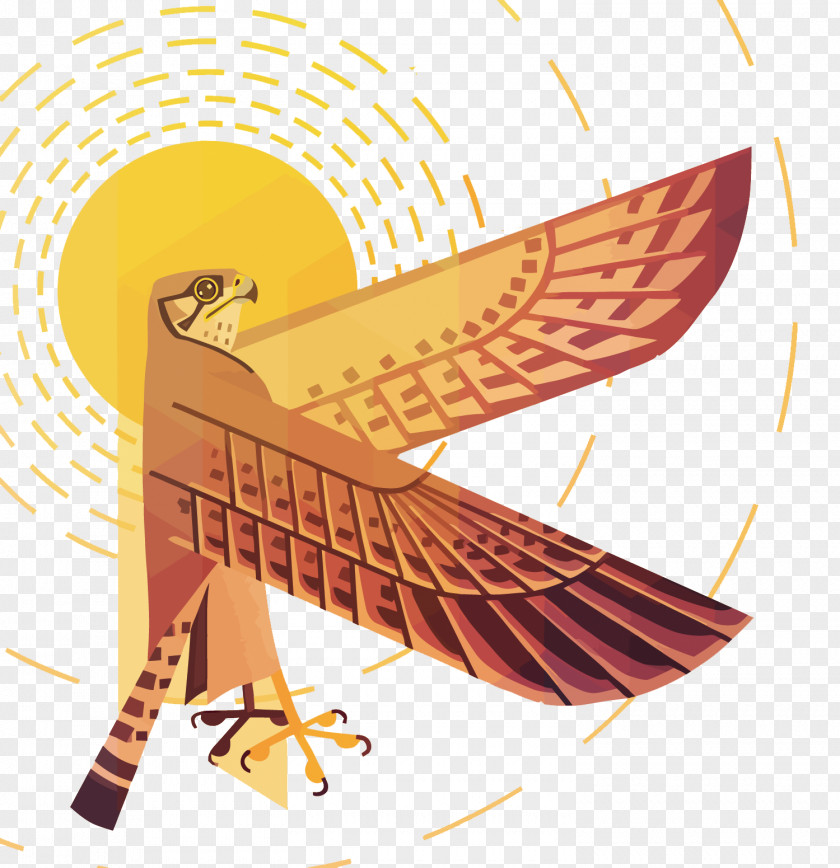 Vector Sun Eagle Euclidean PNG