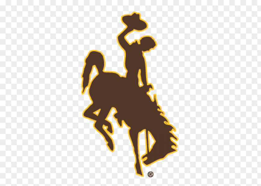 Wyoming Cowboys Working University Of Football Cowgirls Women's Basketball Men's NCAA Division I Bowl Subdivision PNG