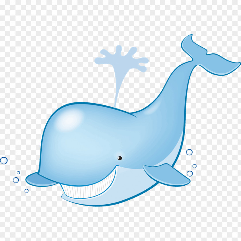 Child Common Bottlenose Dolphin Tucuxi Cetacea Drawing Clip Art PNG