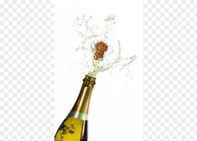 Champagne Sparkling Wine Pommery Bottle PNG