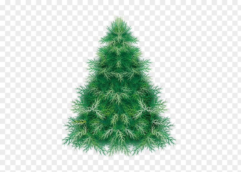 Christmas Winter Pine Tree Spruce PNG