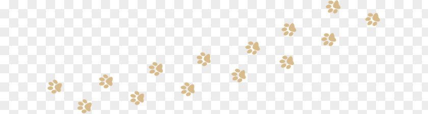 Dog Cat Paw Puppy Creekstone Retrievers PNG