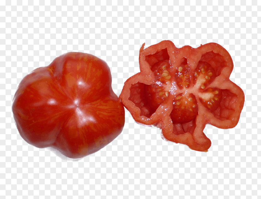 Tomato Plum Capsicum Accessory Fruit Paprika PNG
