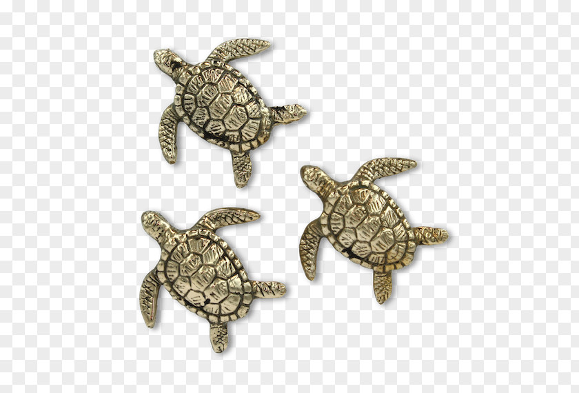 Brass Sea Turtle Metal Pond Turtles PNG