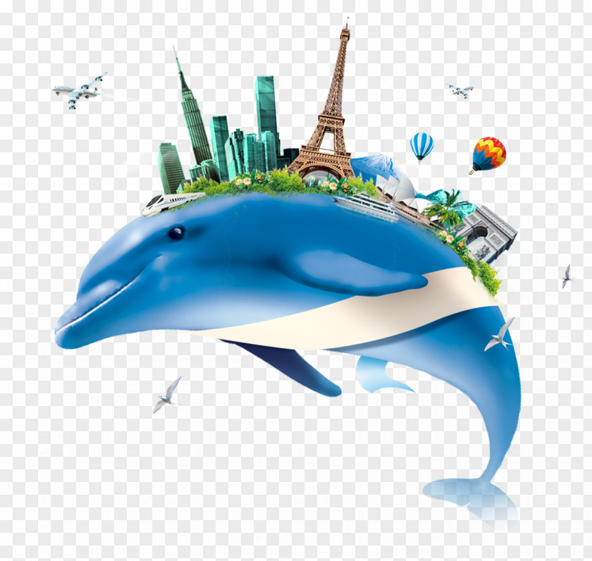 Dolphin Clip Art Image Download PNG