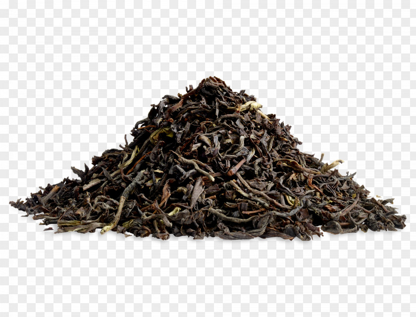 Nilgiri Tea Dianhong Darjeeling Oolong Earl Grey PNG