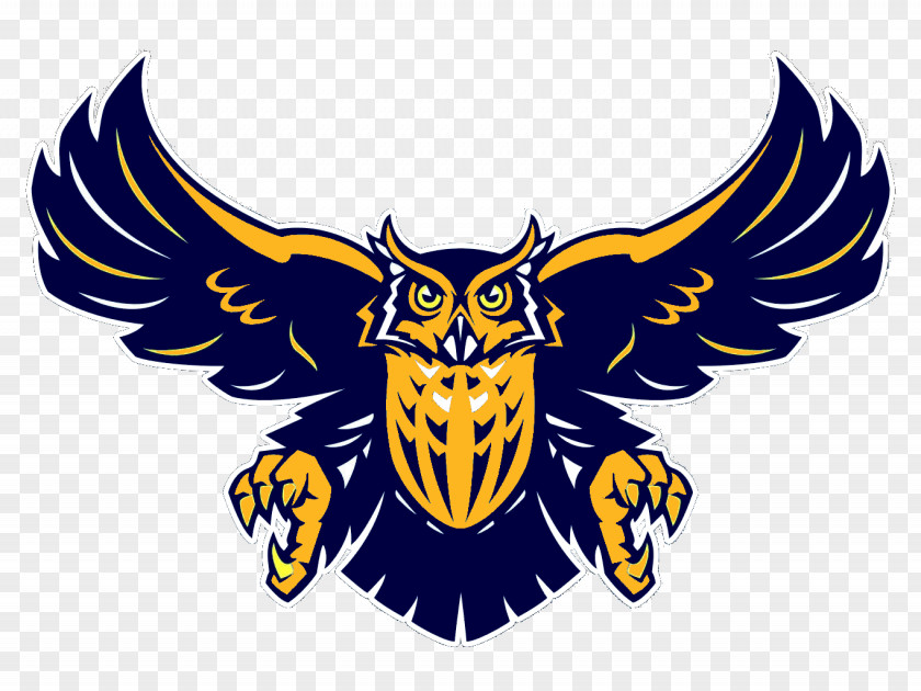 Owl Dundalk High School National Secondary Sparrows Point, Maryland Harmony Area District PNG