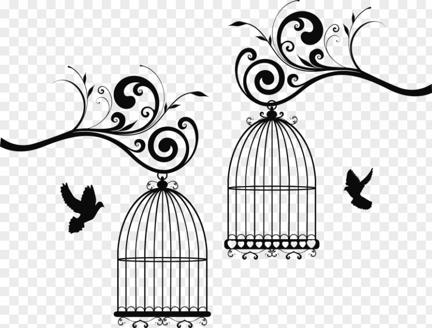 Bird Birdcage Vector Graphics Clip Art PNG