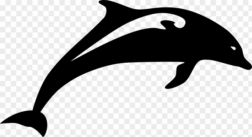 Dolphin Clip Art PNG